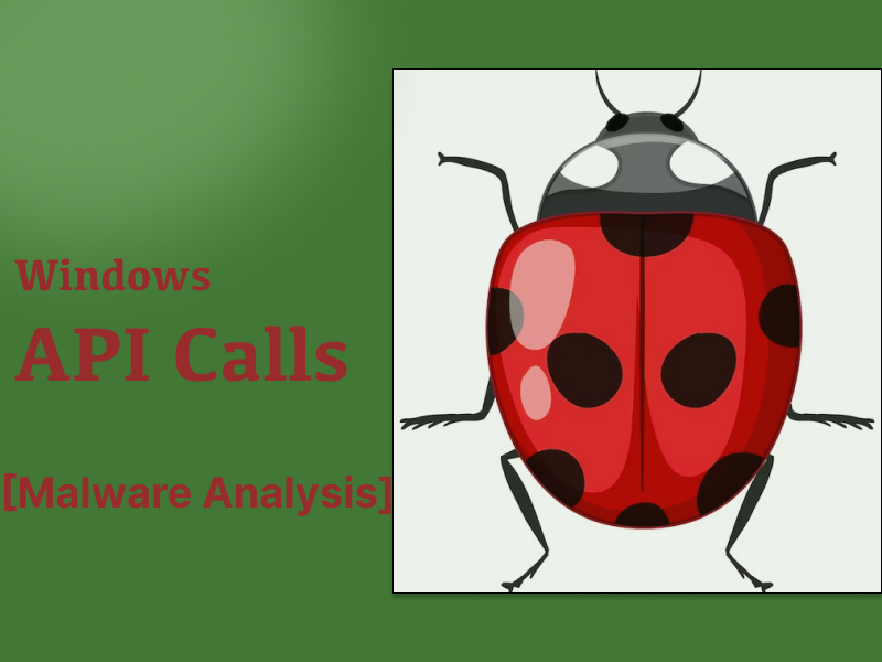 Windows API Calls for Malware Analysis